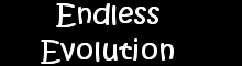 Endless Evolution logo